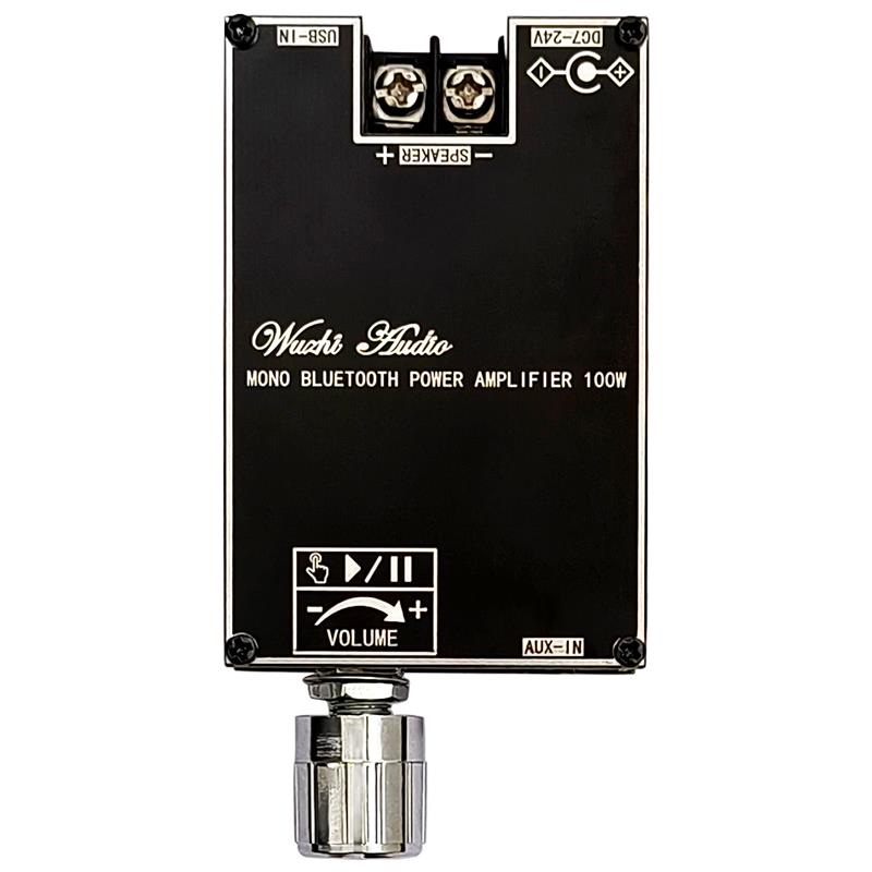 Home Cinema Solution - Bluetooth 5.1 TPA3116 D2 Mono 100W