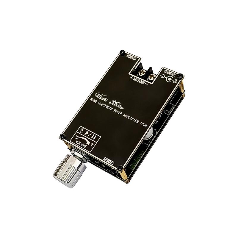 Bluetooth 5.1 TPA3116 D2 Mono  - Home Cinema Solution recensie en prijs