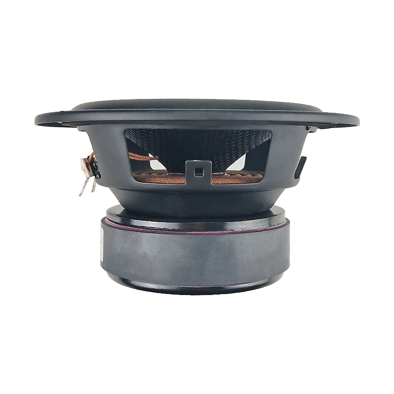 5.25 Inch Glasvezel Subwoofer  - Home Cinema Subwoofer recensie en prijs
