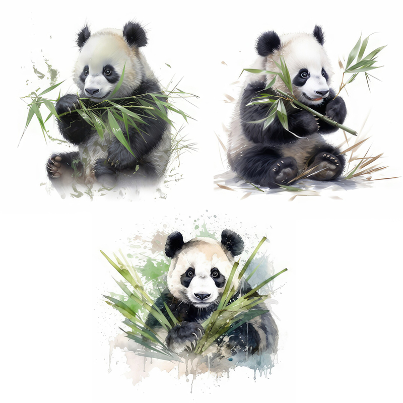 C76 #   Aquarel Panda muurstic - Home Cinema Wall recensie en prijs